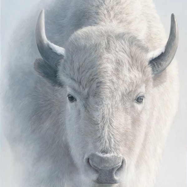 Le Bison